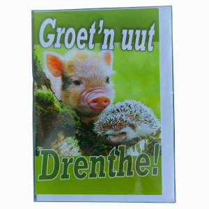 Boer'nKunst kaart – Groet'n uut Drenthe (varken en egel)