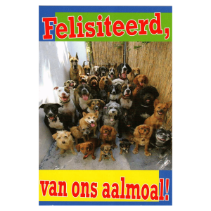 Wenskaart Gronings – Felisiteerd, van ons aalmoal!
