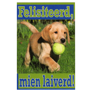 Wenskaart Gronings – Felisiteerd, mien laiverd!