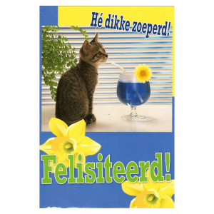 Wenskaart Gronings – Hé dikke zoeperd! Felisiteerd!