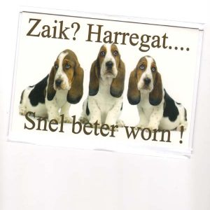 wenskaart groningen – Zaik? Harregat.... Snel beter worn!