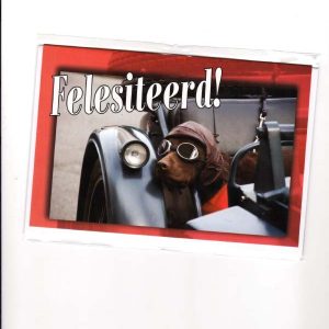 wenskaart groningen – Felesiteerd!