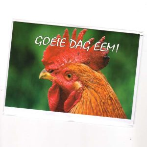 wenskaart groningen – Goeie dag eem!
