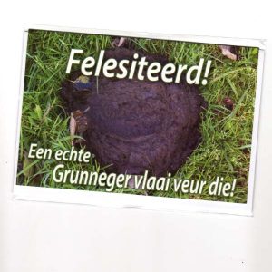 wenskaart groningen – Felesiteerd! Een echte Grunneger vlaai veur die!