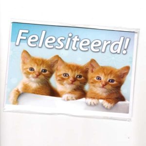 wenskaart groningen – Felesiteerd!