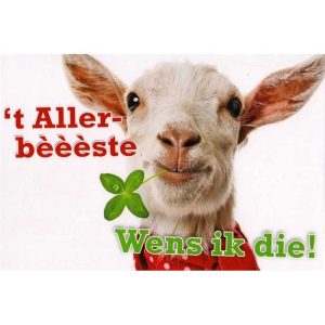 wenskaart groningen – ’t Aller-bèèèste wens ik die!