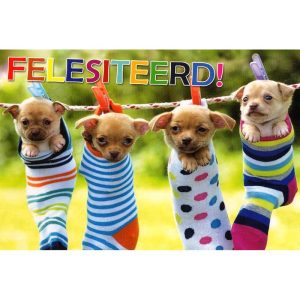 wenskaart groningen – Felesiteerd!