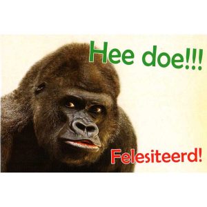 wenskaart groningen – Hee doe!!! Felesiteerd!