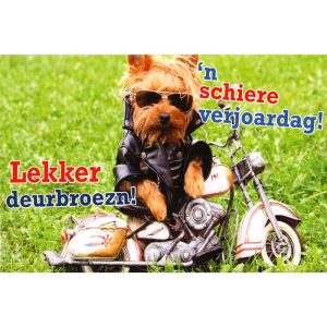 wenskaart groningen – Lekker deurbroezn! ’n schiere verjoardag!