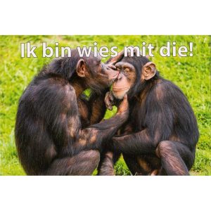 wenskaart groningen – Ik bin wies mit die!