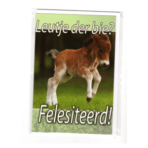 Wenskaart Gronings – Leutje der bie? Felesiteerd!