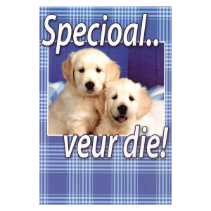 Wenskaart Gronings – Specioal.. veur die!