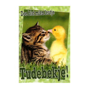 Wenskaart Gronings – Doe bist mien leutje – Tudebekje!
