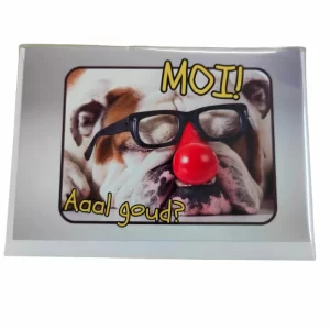 wenskaart groningen – Moi! Aaal goud?