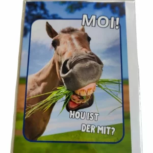 wenskaart groningen – Moi! Hou ist der mit?