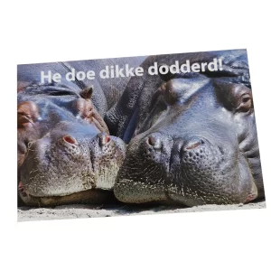 wenskaart groningen – He doe dikke dodderd!