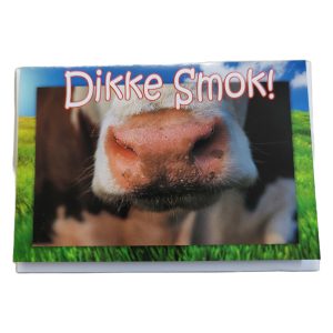 wenskaart groningen – Dikke Smok!