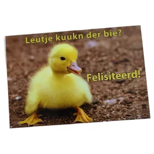 wenskaart groningen – Leutje kuukn der bie? Felisiteerd!
